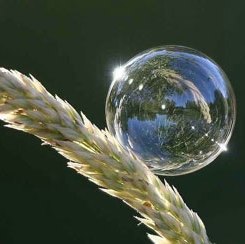 آموخته ام که زندگی عشق است