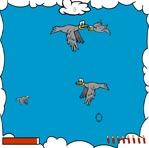 Bird hunting